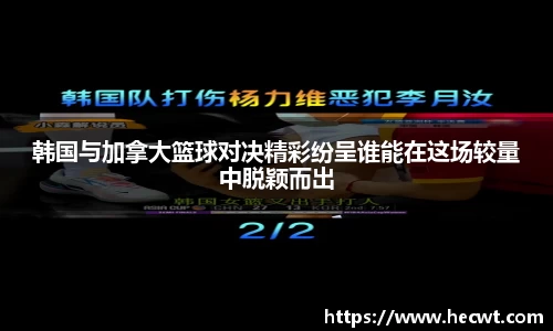 南宫ng28